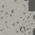 TABT-Arm-Medium-Map2.jpg
