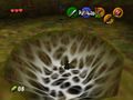 Oot spiderweb.jpg