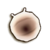 LoZ TP female pill bug.png