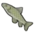 DogIsland blackcarp.png