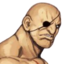 Portrait CVS Sagat.png