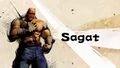 SFIV Characters Sagat.jpg