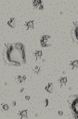 TABT-ARM-Very Short-Map9.jpg
