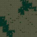 TACC-Map-Gasbag Forests.jpg
