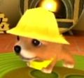 DogIsland dorothy.jpg