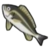 DogIsland yellowstripedfish.png