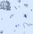TABT-ARM-Very Short-Map0.jpg