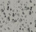 TABT-Core-Very Short-Map10.jpg
