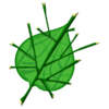 LOZWW Deku Leaf.png