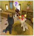 Dog Island MeetNoble.jpg