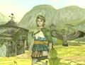 Thelegendofzelda-TwilightPrincess1summoninghawk.jpg