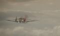 Battlestations P-40 Warhawk.JPG