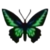 DogIsland trojanusbutterfly.png