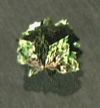 Dead rising lettuce.jpg