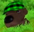 DogIsland shirley.jpg