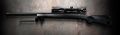 CA M24.jpg