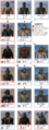 Mount&Blade Mercenary troop tree.png