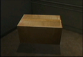 Dead rising cardboard box.png