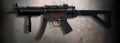 CA MP5RAS.jpg