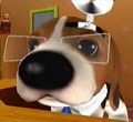 DogIsland potan.jpg
