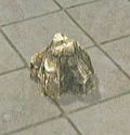 Dead rising rock.jpg