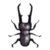 DogIsland emperorbeetle.png