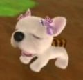 DogIsland yugo.jpg