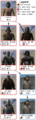 Mount&Blade bandit troop tree.png