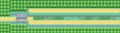 Pokemon FRLG Route 15.png