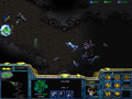 SC Hunt for Tassadar Psi Storm.png