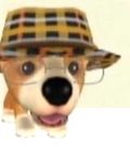 The Dog Island Darna.jpg