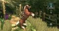 Tloz-TP-Forest1.jpg