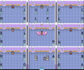 Pokemon FRLG Saffron Gym.png