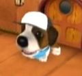 DogIsland philipo.jpg