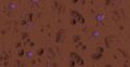 TABT-Core-Very Short-Map13.jpg