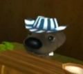DogIsland izzy.jpg