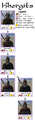 Mount&Blade Khergit troop tree.png