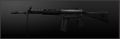 CA ar howa type 89.jpg