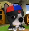 DogIsland yilu.jpg