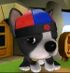 DogIsland yilu.jpg
