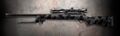 CA M24-Woodland.jpg