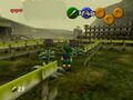 Oot cash bushes.jpg
