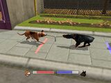 Dog's Life Tug O War.jpg