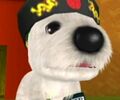 DogIsland Tao.jpg
