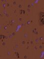 TABT-Arm-Short-Map14.jpg