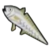 DogIsland hoki.png