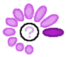 Purple Search Meter.