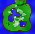 Dog Island ancient grove bugs.jpg