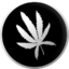LA Noire achievement Every Herb Bearing Seed.png