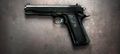 CA M1911MEU.jpg